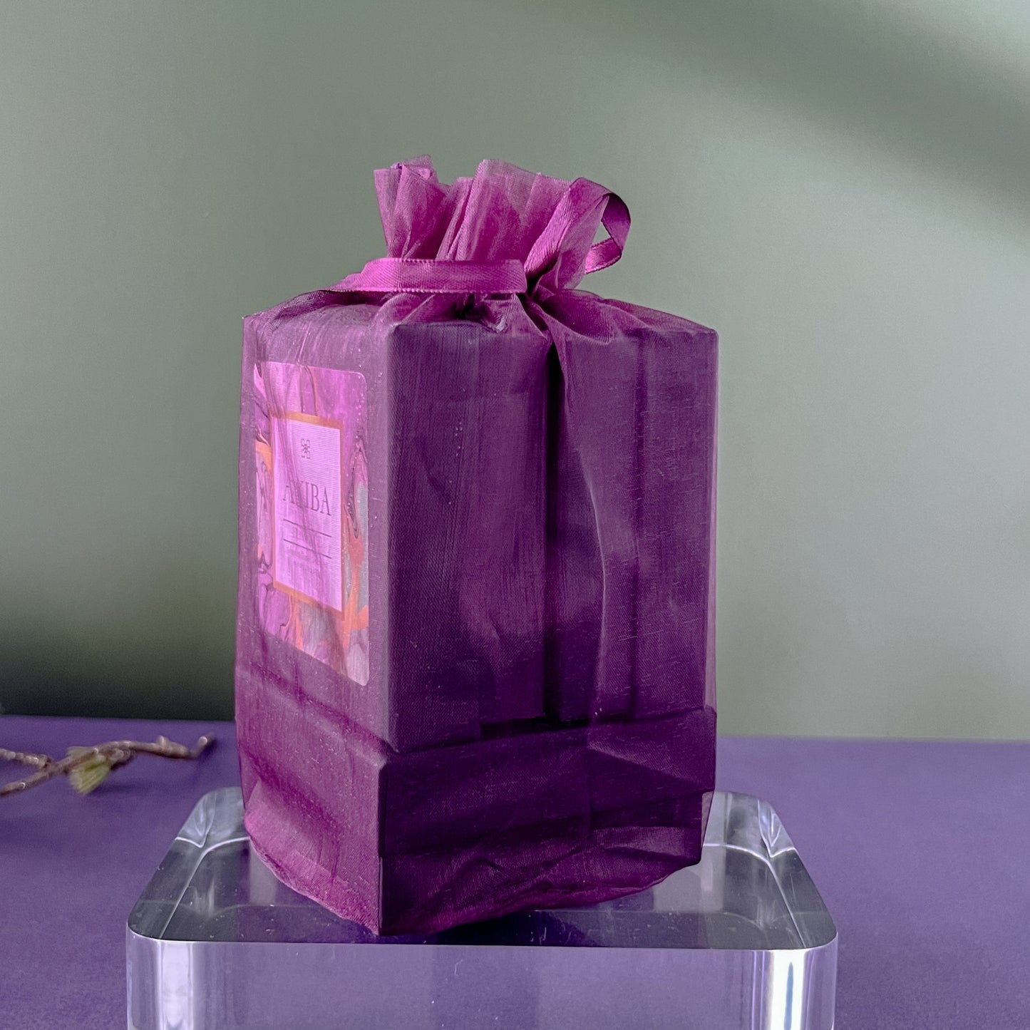 NEW! "Holiday" Home Fragrance Bundle - Scented Closet Ornaments