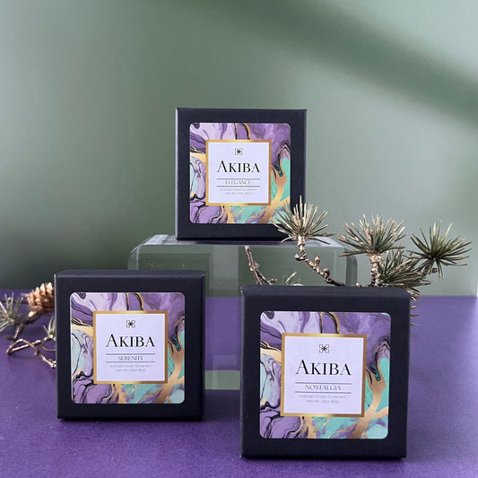 NEW! "Holiday" Home Fragrance Bundle - Scented Closet Ornaments